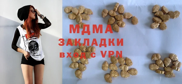 прущие грибы Верхний Тагил