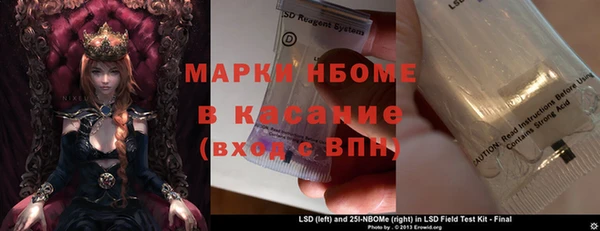 прущие грибы Верхний Тагил
