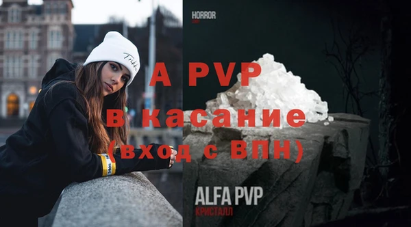 стафф Верея