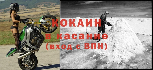 прущие грибы Верхний Тагил