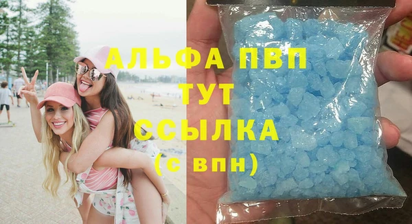 прущие грибы Верхний Тагил