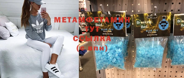 прущие грибы Верхний Тагил