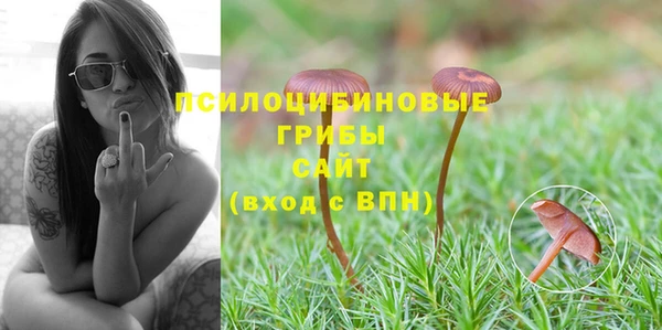 прущие грибы Верхний Тагил