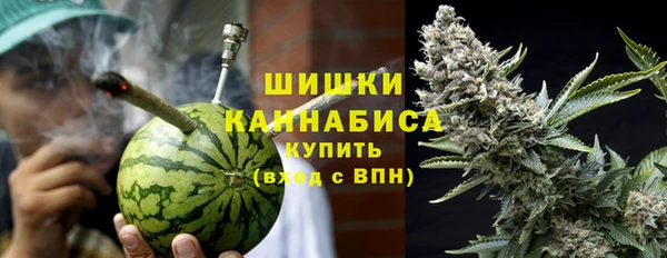 прущие грибы Верхний Тагил