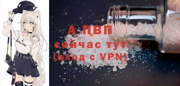 прущие грибы Верхний Тагил