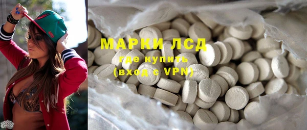 прущие грибы Верхний Тагил
